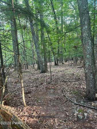 0.46 Acres of Residential Land for Sale in Lakeville, Pennsylvania