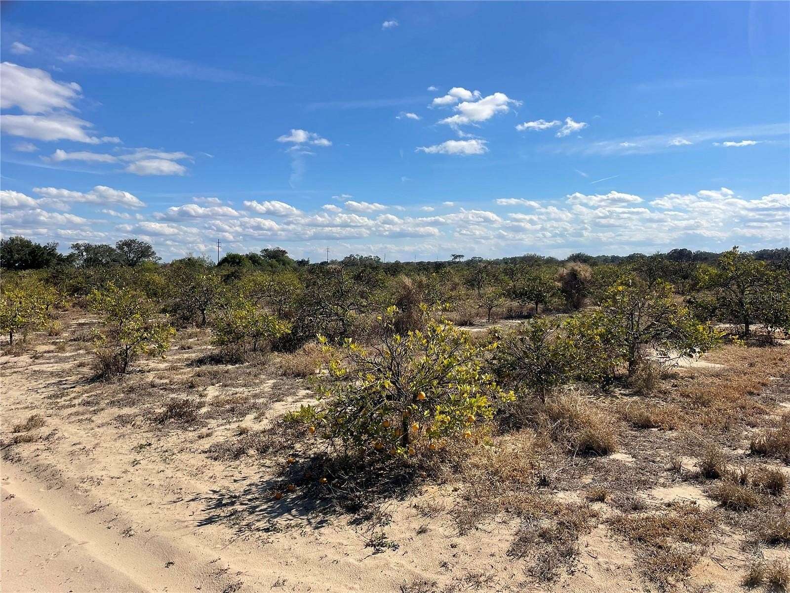 74 Acres of Land for Sale in Frostproof, Florida