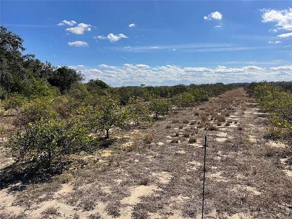 74 Acres of Land for Sale in Frostproof, Florida