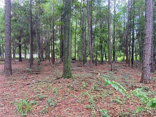 1 Acre of Mixed-Use Land for Sale in High Springs, Florida
