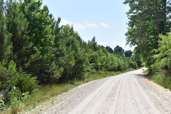156 Acres of Recreational Land for Sale in Glenn, Georgia