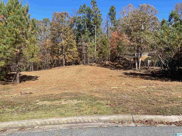 0.53 Acres of Land for Sale in Chelsea, Alabama