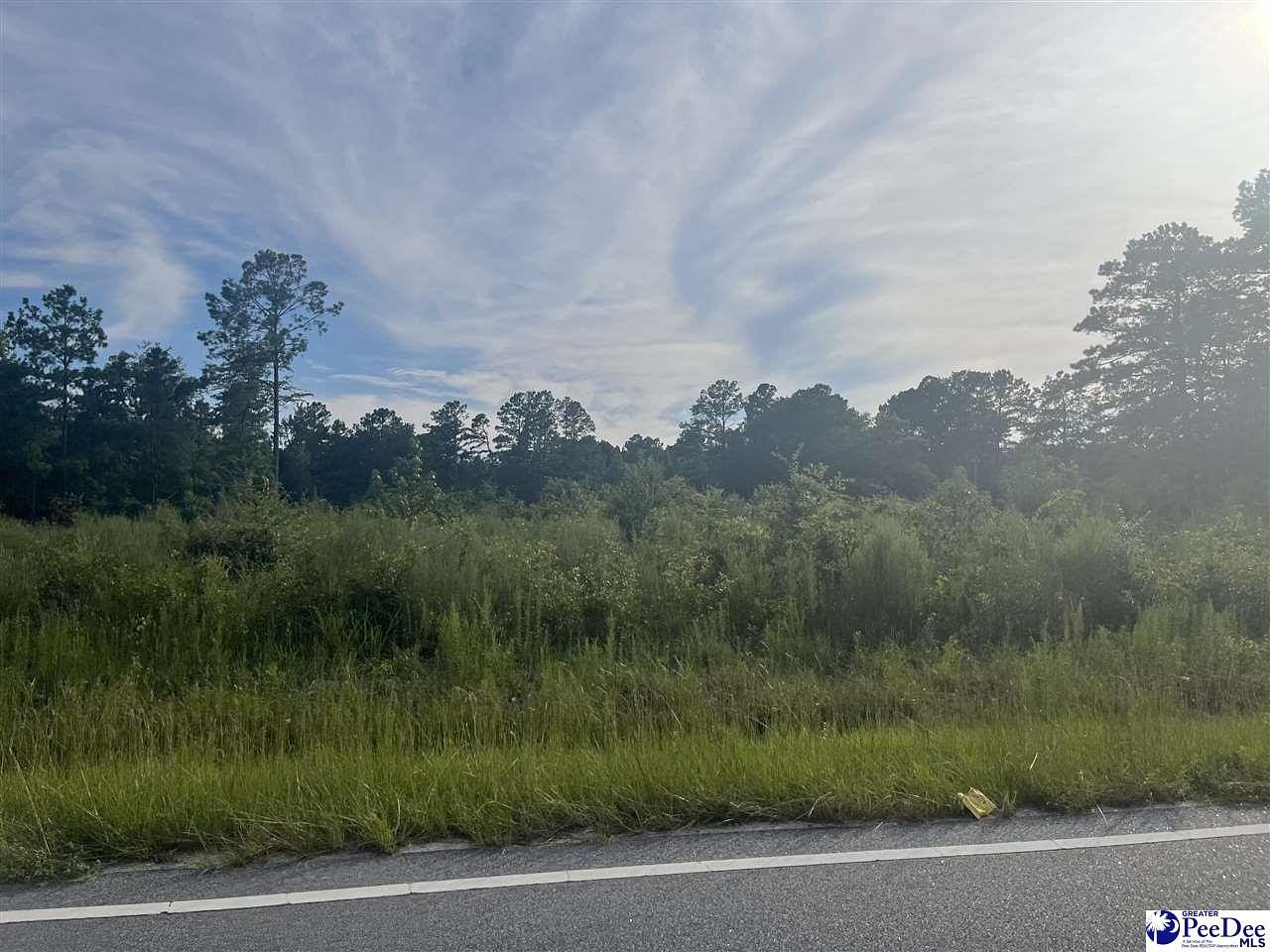 1.2 Acres of Residential Land for Sale in Dillon, South Carolina