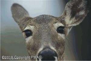 0.43 Acres of Residential Land for Sale in East Stroudsburg, Pennsylvania