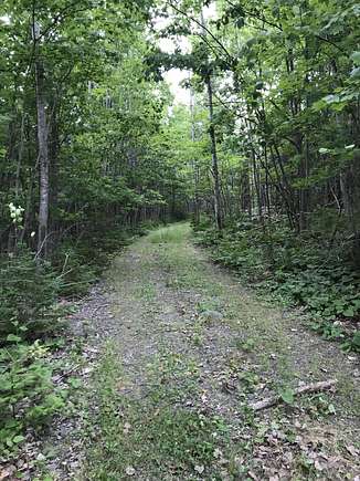 25 Acres of Land for Sale in Baring Plantation, Maine