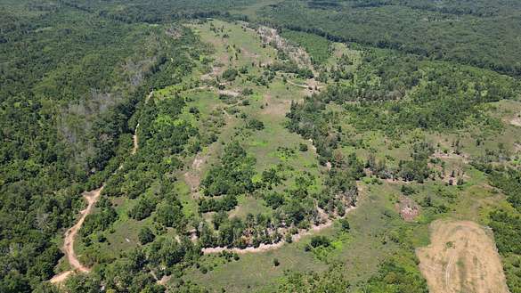 149 Acres of Recreational Land for Sale in Jackson, Alabama