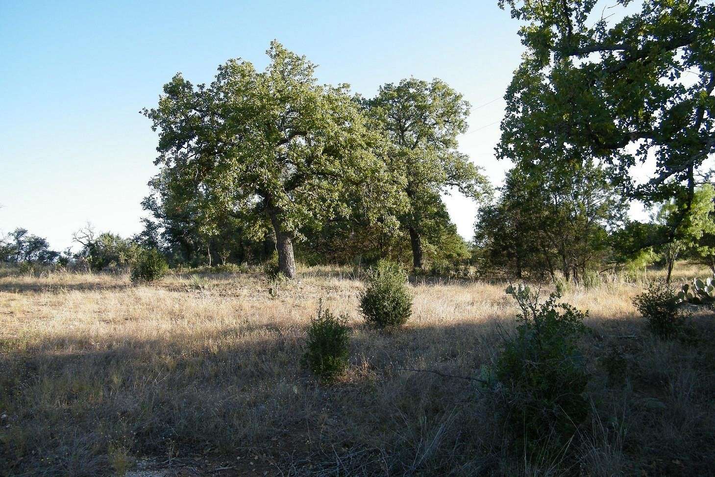10 Acres of Agricultural Land for Sale in Burnet, Texas