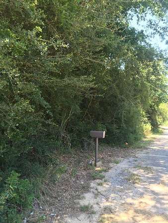 13 Acres of Land for Sale in Newton, Texas