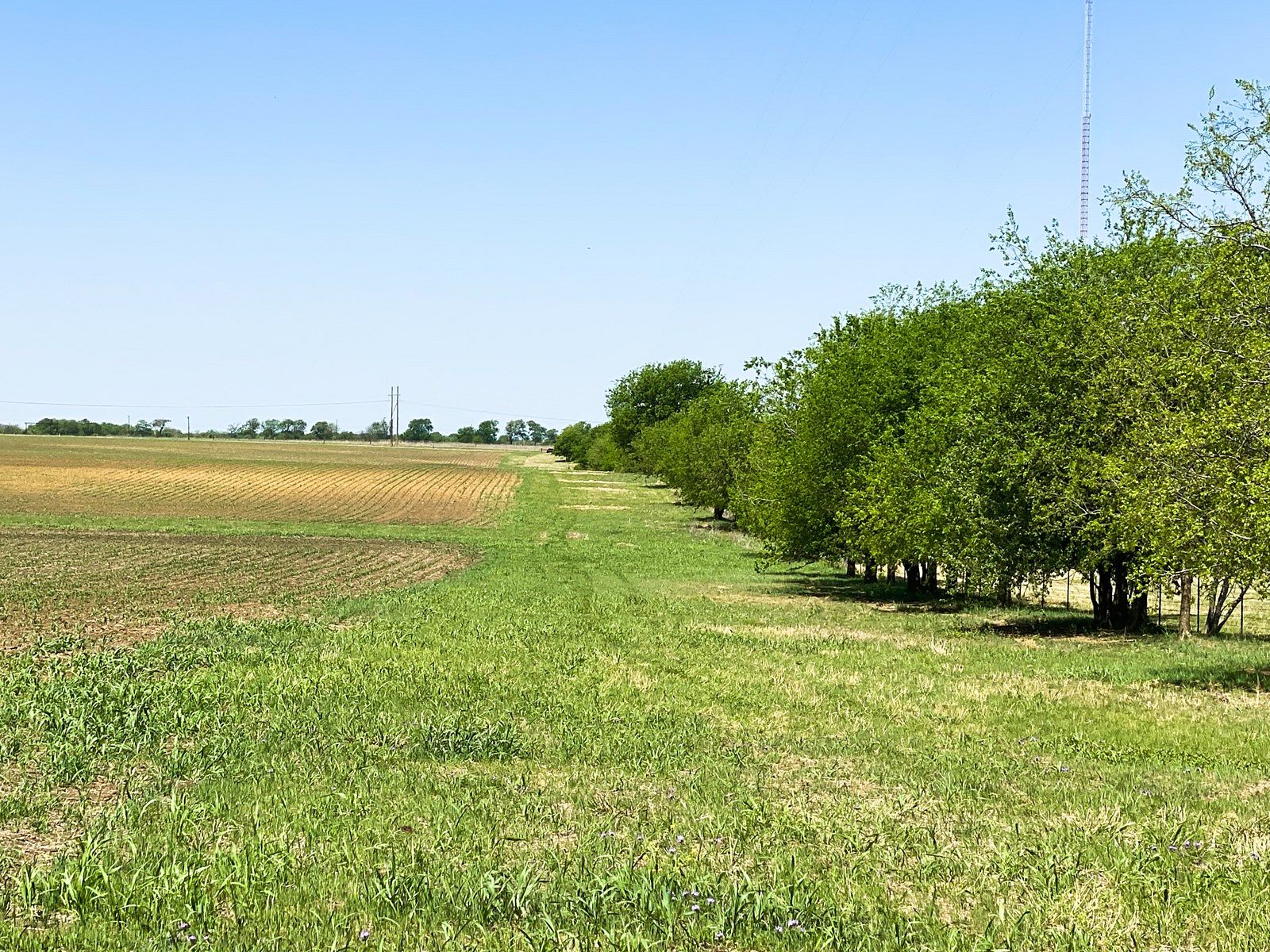 56 Acres of Land for Sale in Moody, Texas