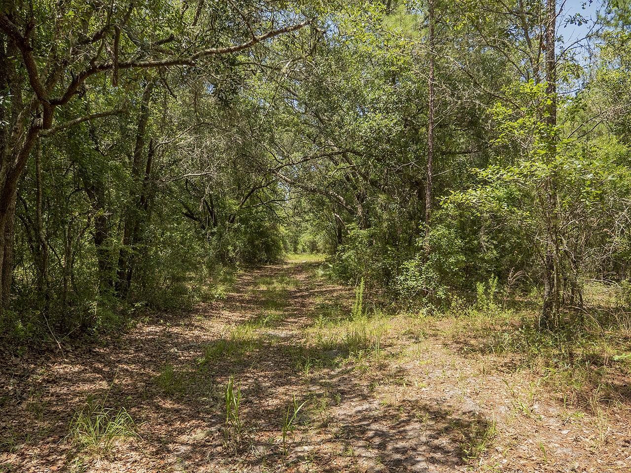 940 Acres of Recreational Land for Sale in Madison, Florida LandSearch