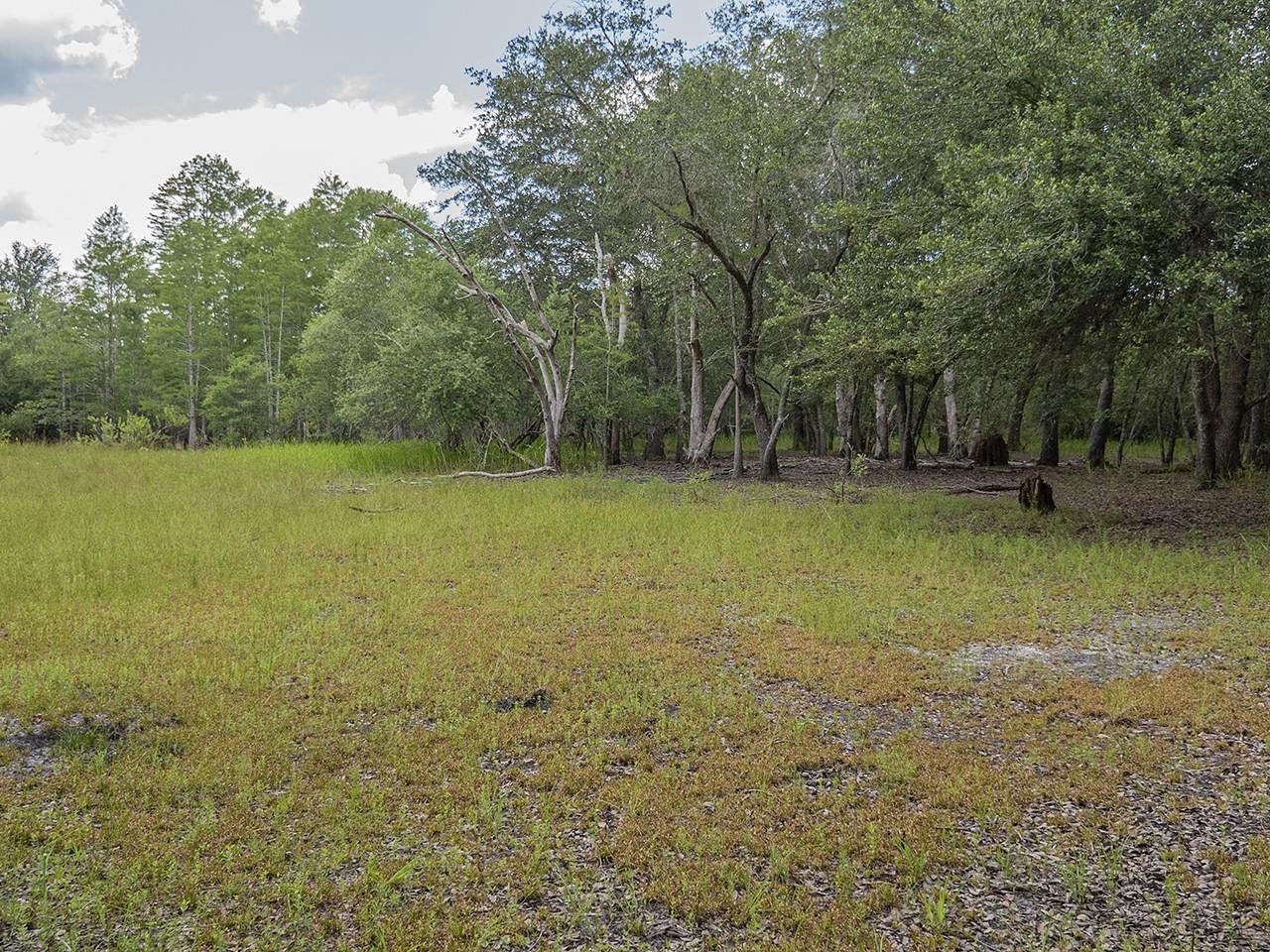 940 Acres of Recreational Land for Sale in Madison, Florida LandSearch