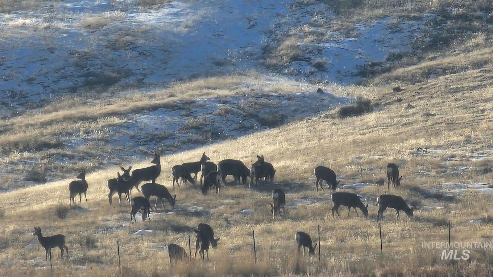 55.2 Acres of Agricultural & Residential Land for Sale in Homedale, Idaho