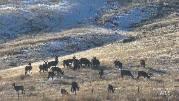 55.2 Acres of Agricultural Land for Sale in Homedale, Idaho