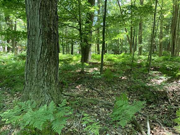 0.43 Acres of Residential Land for Sale in Mears, Michigan