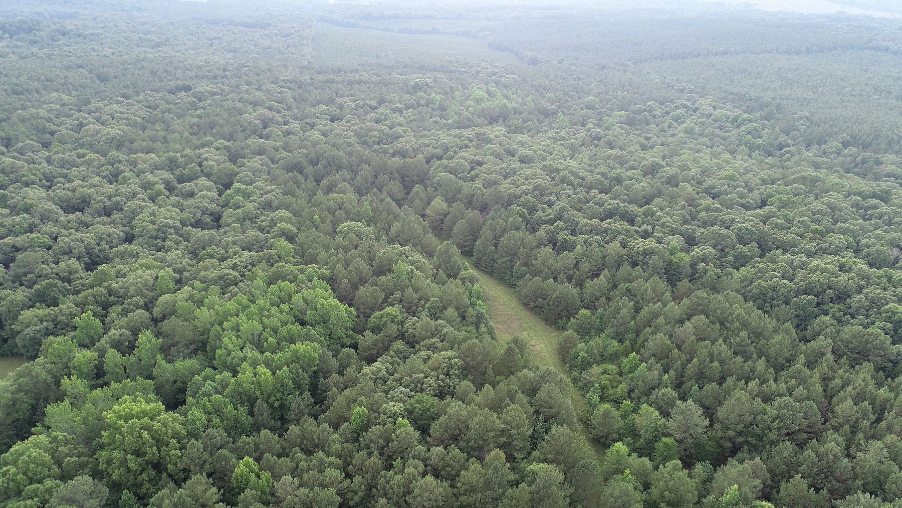 113 Acres of Recreational Land for Sale in Aragon, Georgia