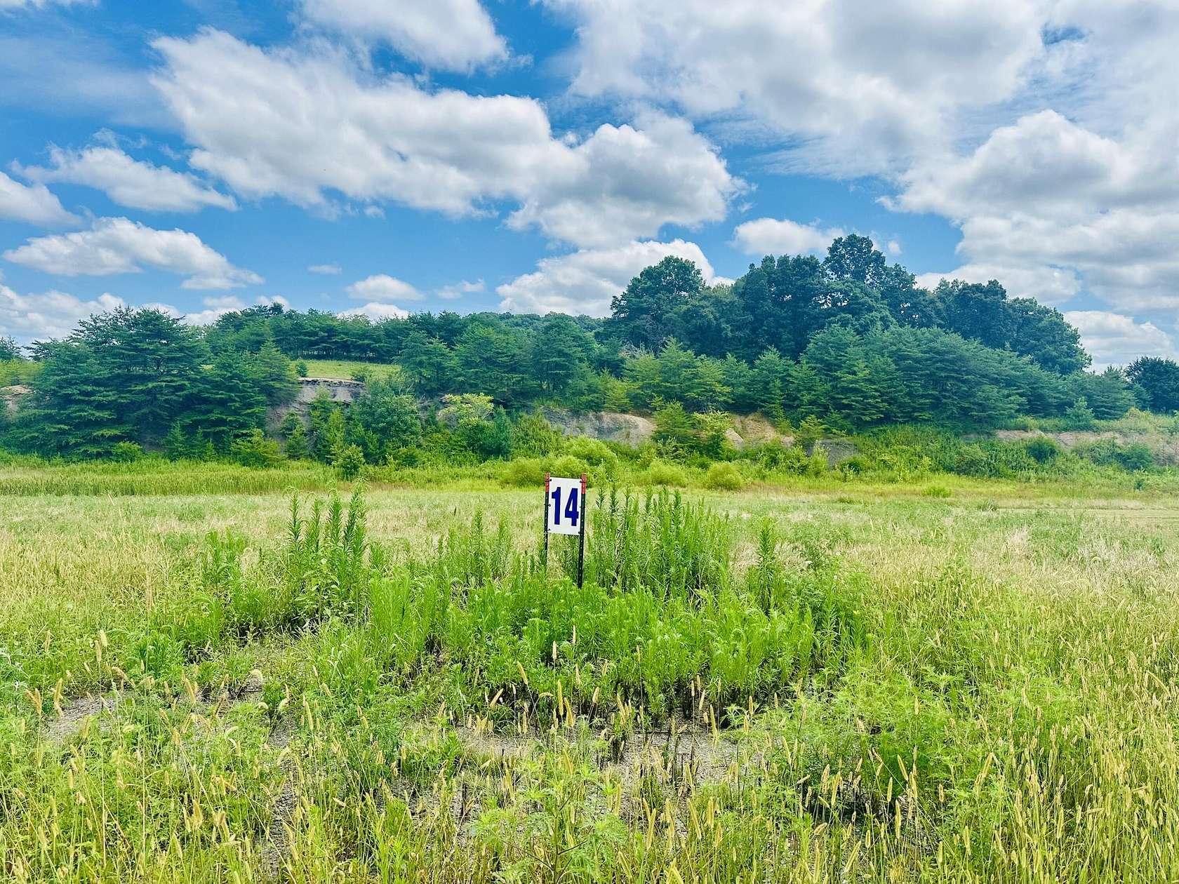 1.19 Acres of Residential Land for Sale in East Bernstadt, Kentucky