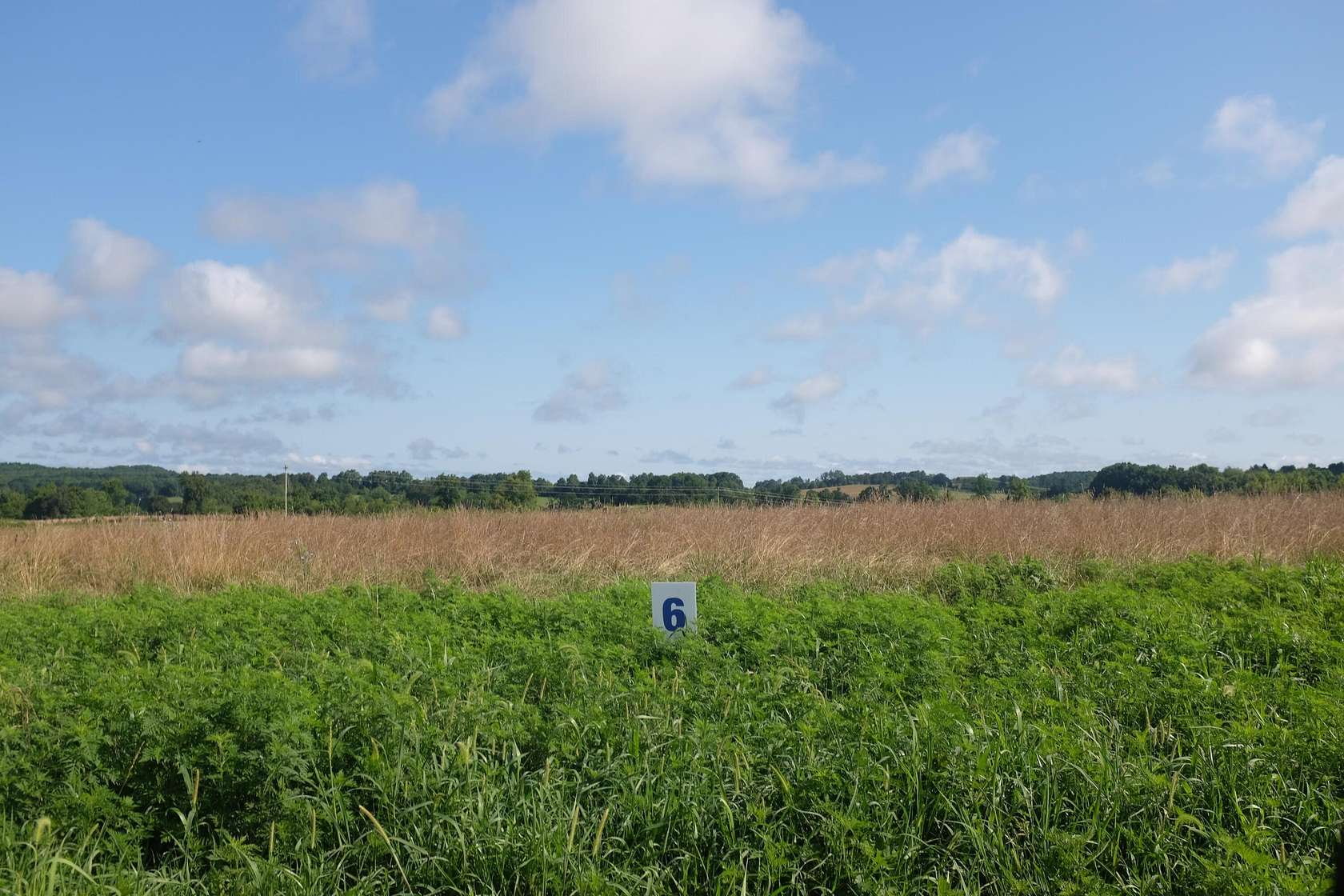 0.91 Acres of Residential Land for Sale in East Bernstadt, Kentucky