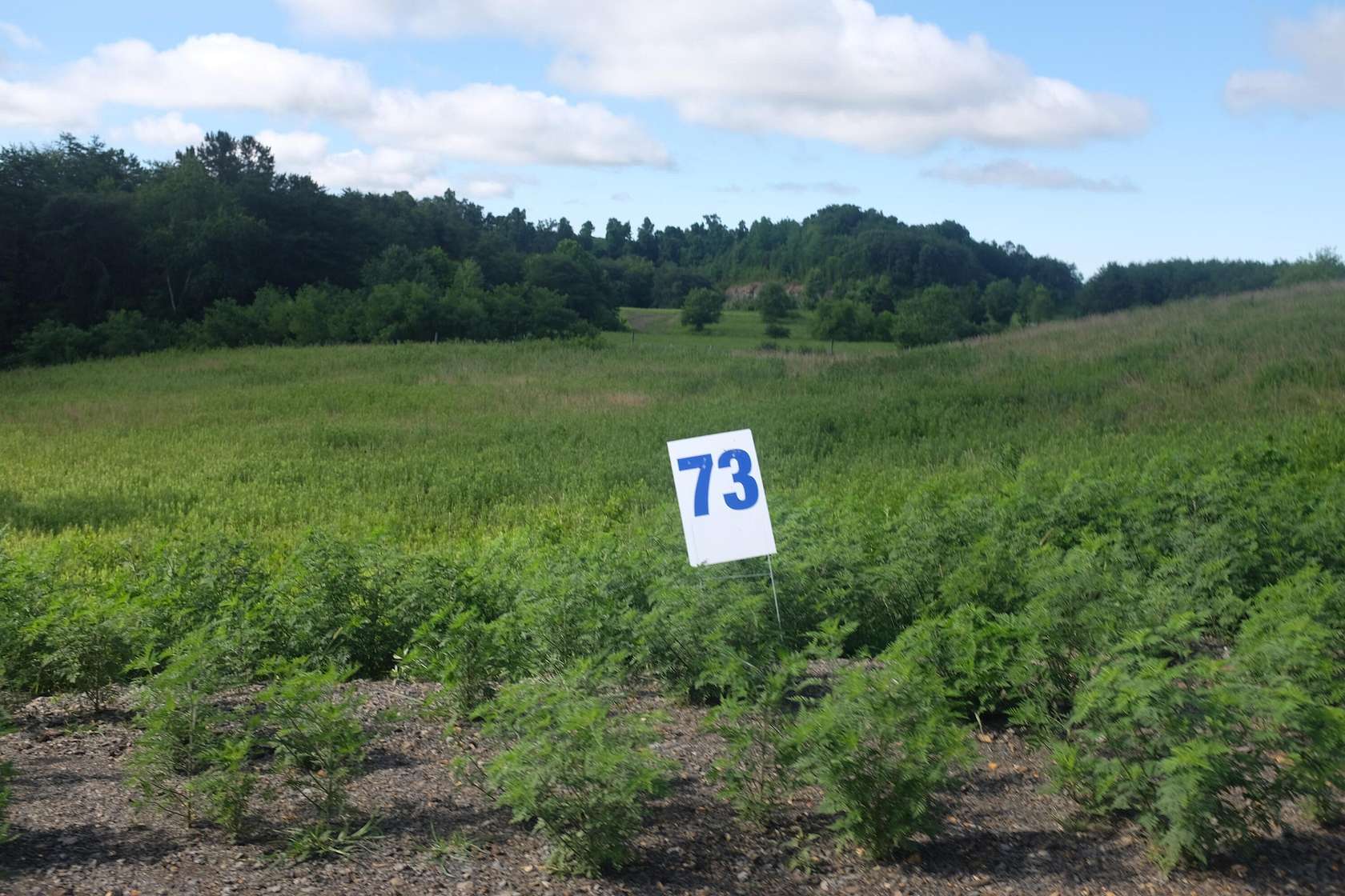 0.62 Acres of Residential Land for Sale in East Bernstadt, Kentucky