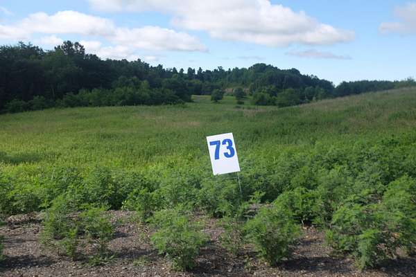 0.62 Acres of Residential Land for Sale in East Bernstadt, Kentucky