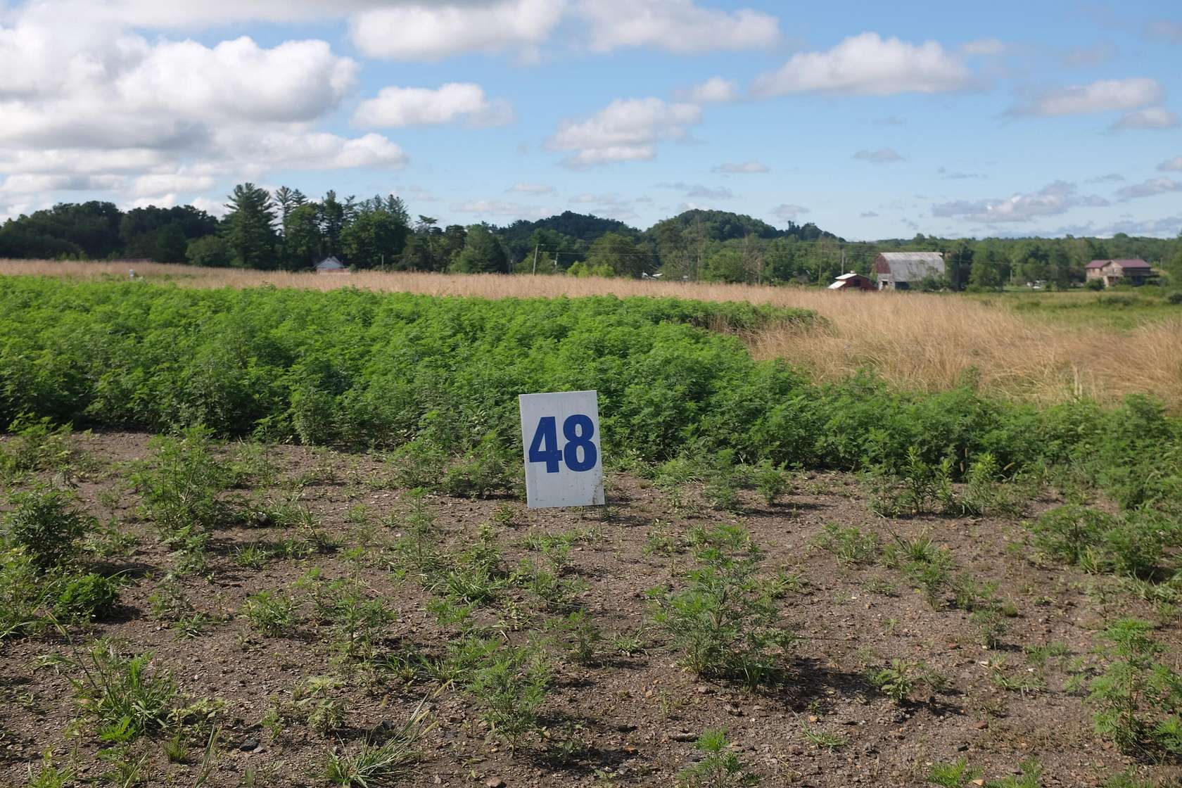 0.58 Acres of Residential Land for Sale in East Bernstadt, Kentucky