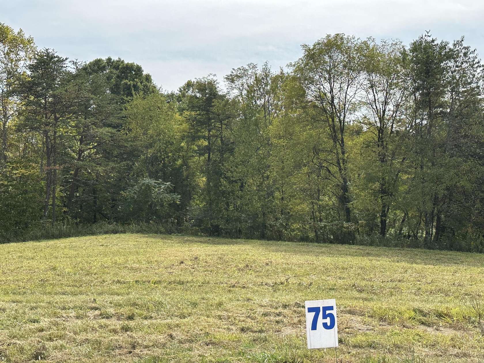 0.66 Acres of Residential Land for Sale in East Bernstadt, Kentucky