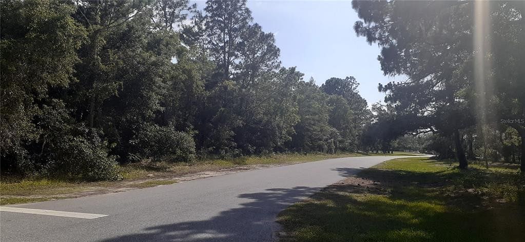 1.1 Acres of Residential Land for Sale in Spring Hill, Florida