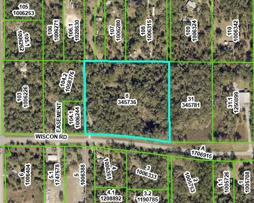 9.2 Acres of Residential Land for Sale in Brooksville, Florida