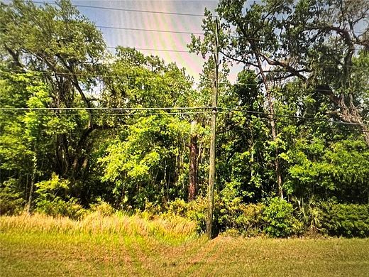9.2 Acres of Residential Land for Sale in Brooksville, Florida