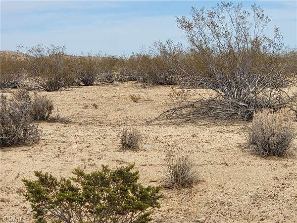 0.22 Acres of Residential Land for Sale in California City, California