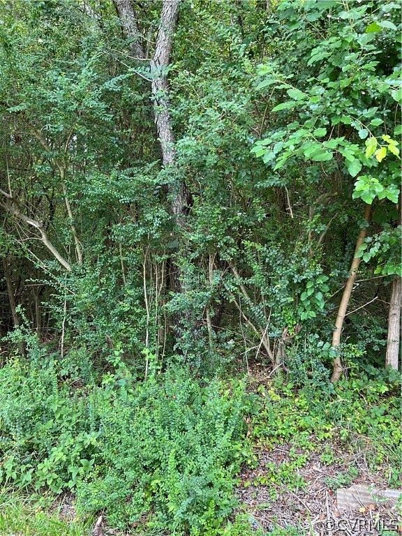 3.2 Acres of Residential Land for Sale in Topping, Virginia