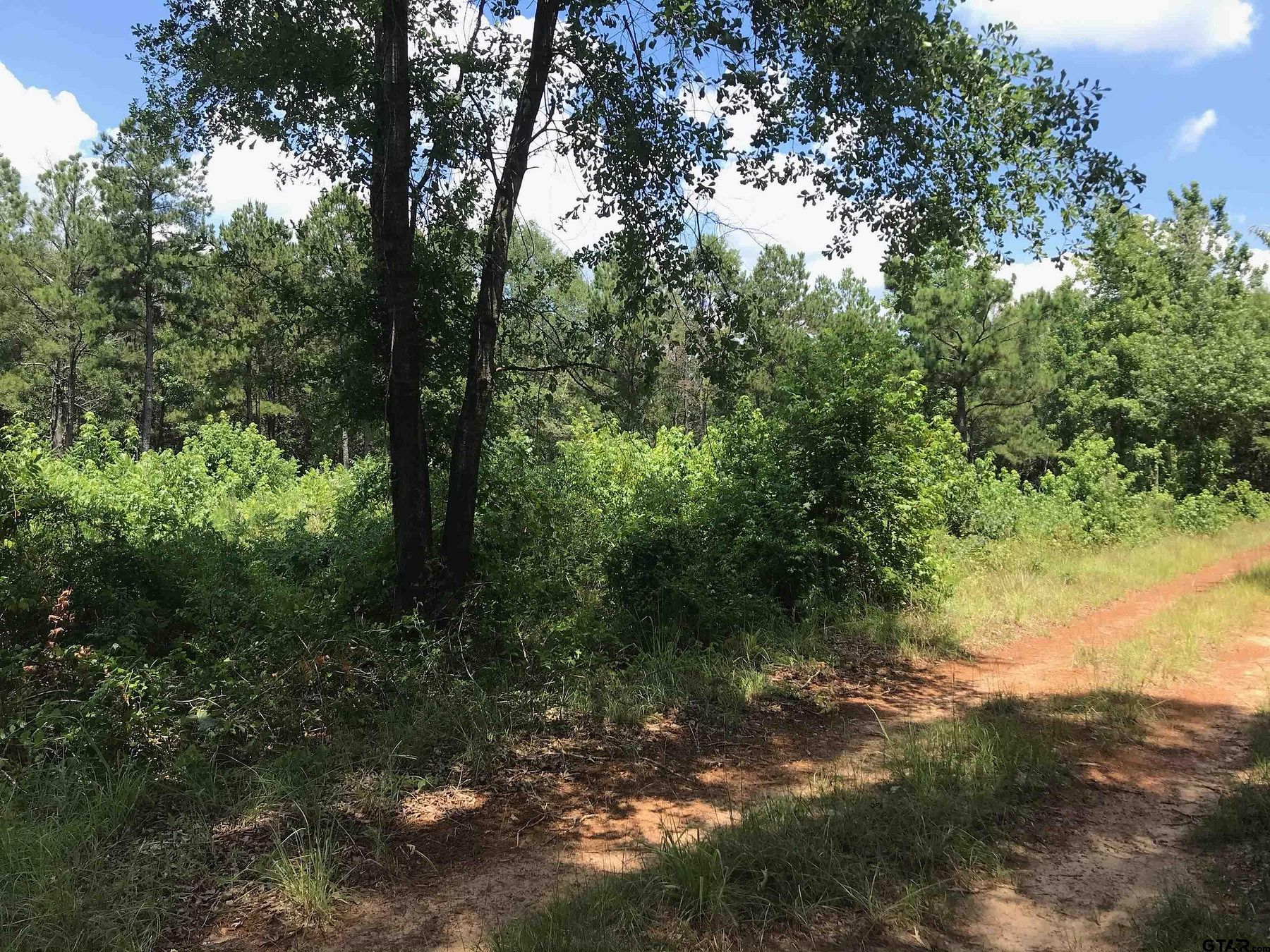 7 Acres of Land for Sale in Hawkins, Texas