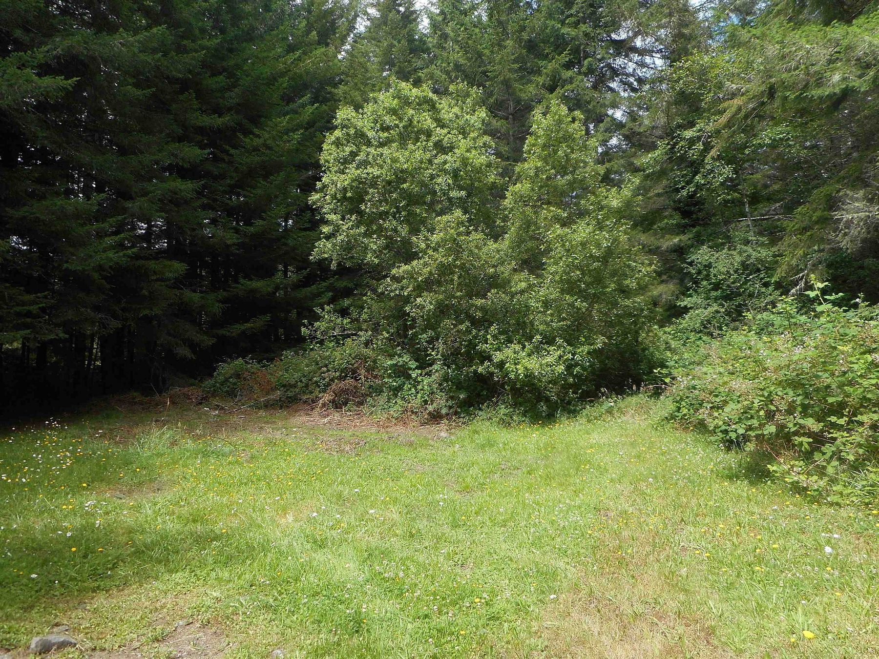 10.5 Acres of Land for Sale in Crescent City, California