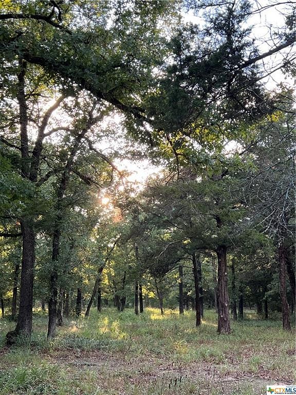 8.3 Acres of Residential Land for Sale in Calvert, Texas