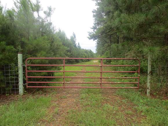 308 Acres of Recreational Land for Sale in Sandy Hook, Mississippi