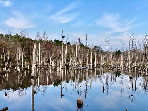 256 Acres of Recreational Land for Sale in Lumberton, North Carolina