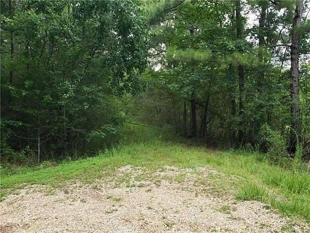 11.5 Acres of Land for Sale in Tangipahoa, Louisiana