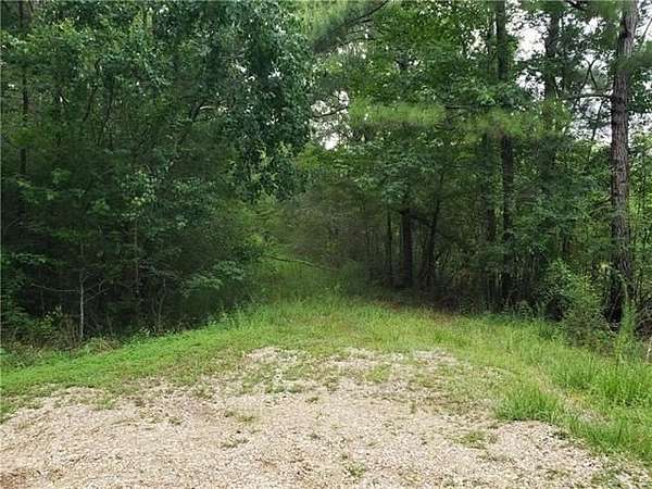 11.5 Acres of Land for Sale in Tangipahoa, Louisiana