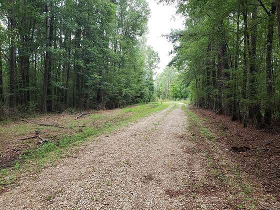 11.5 Acres of Land for Sale in Tangipahoa, Louisiana
