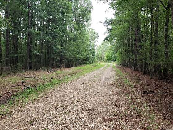 11.51 Acres of Land for Sale in Tangipahoa, Louisiana