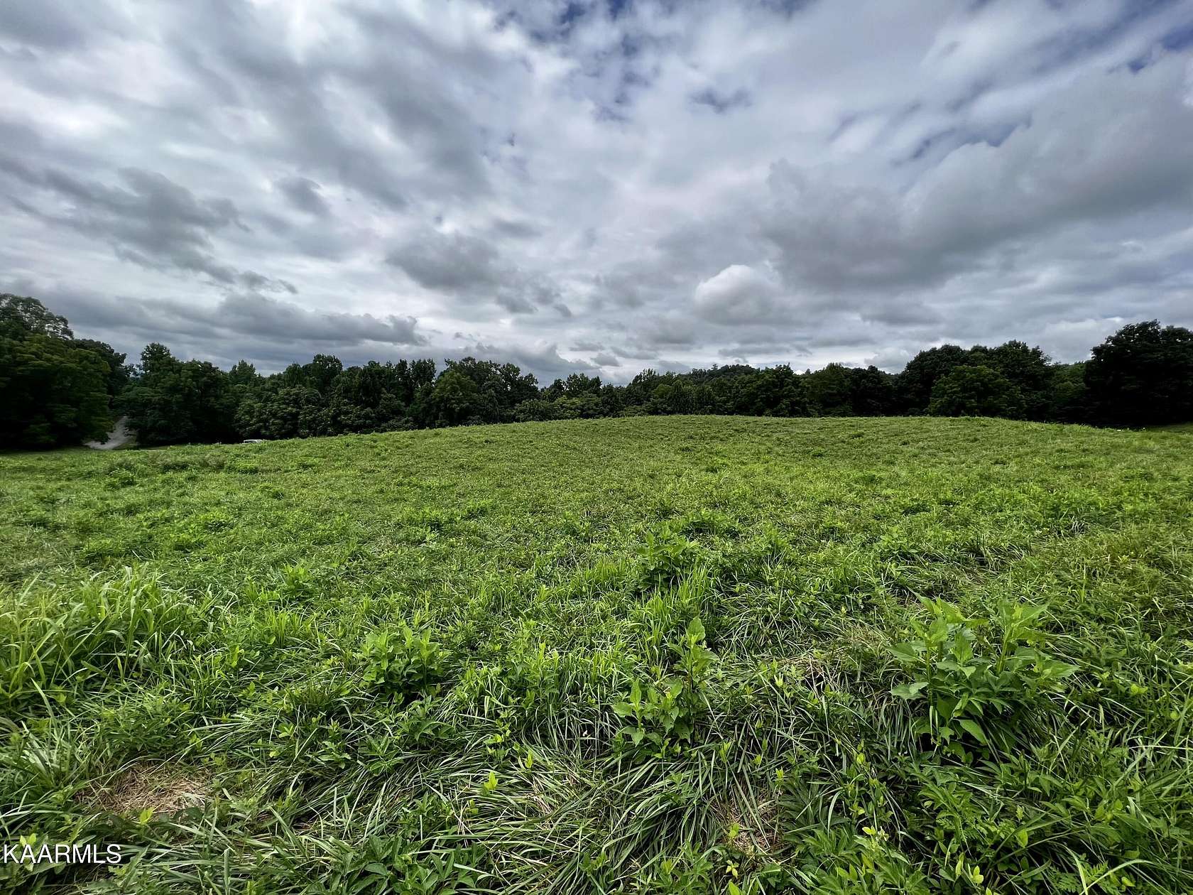 0.94 Acres of Residential Land for Sale in New Tazewell, Tennessee