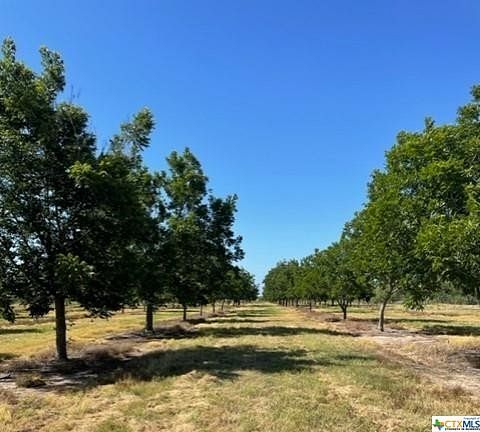 20 Acres of Land for Sale in Premont, Texas
