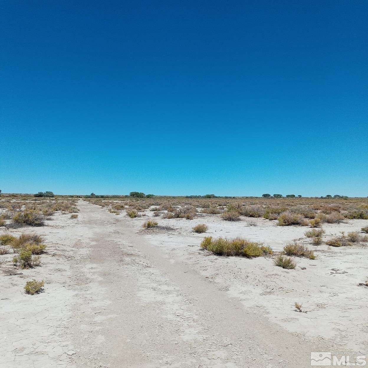 40 Acres of Land for Sale in Fallon, Nevada