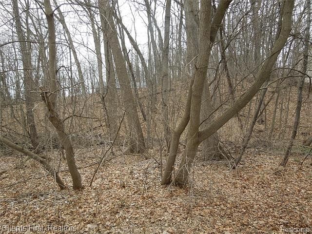 0.29 Acres of Residential Land for Sale in Brighton, Michigan