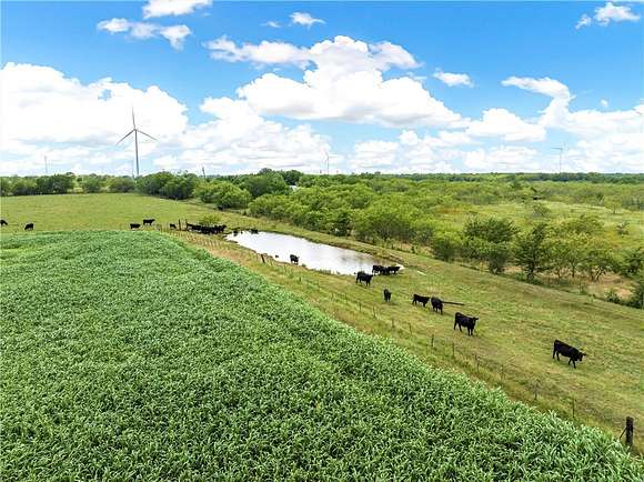 33 Acres of Agricultural Land with Home for Sale in Mount Calm, Texas