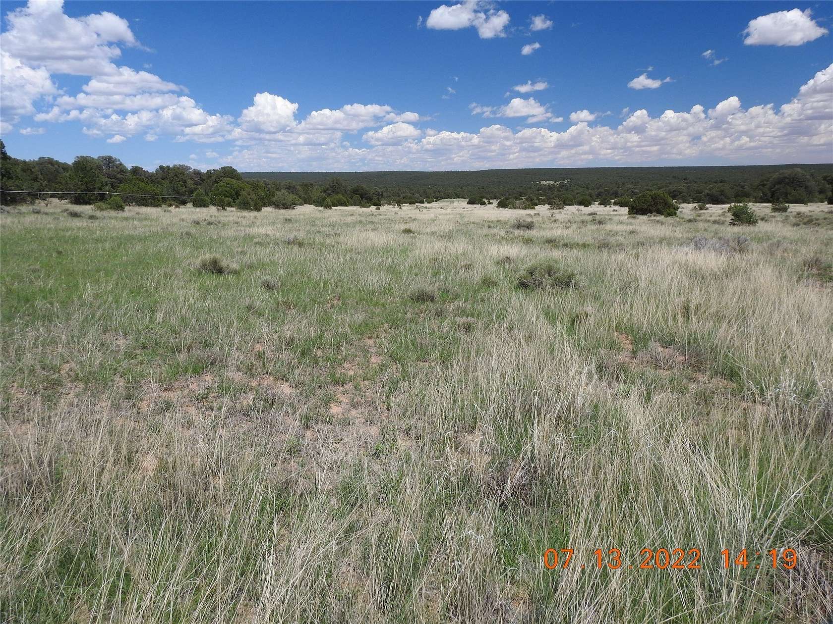 20 Acres of Land for Sale in Rowe, New Mexico