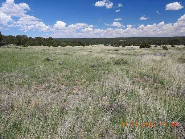 20 Acres of Land for Sale in Rowe, New Mexico