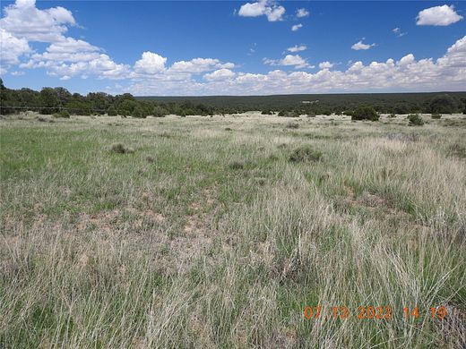 20 Acres of Agricultural Land for Sale in Rowe, New Mexico
