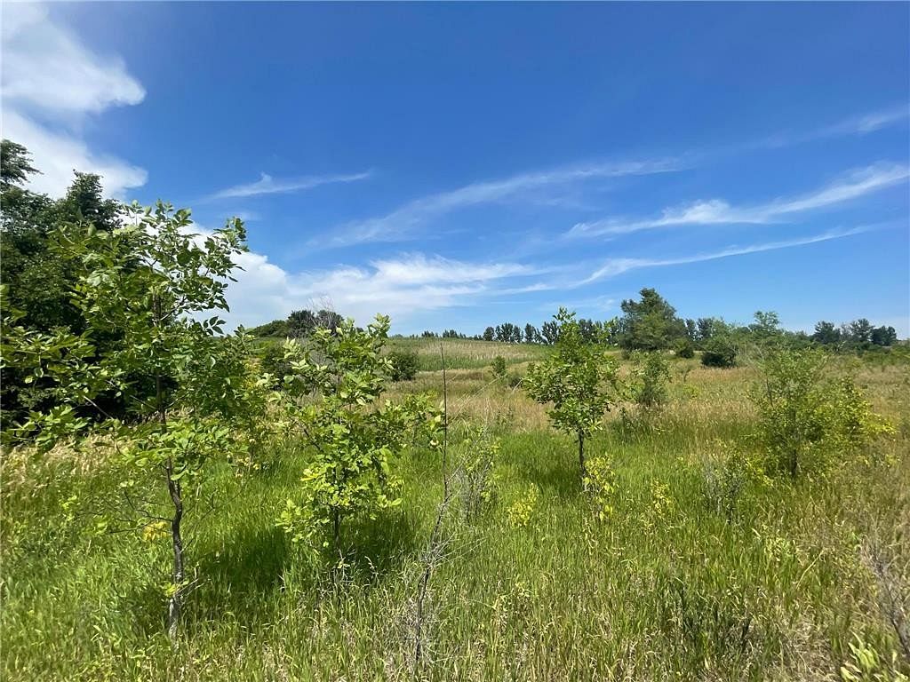 5.6 Acres of Residential Land for Sale in Dassel Township, Minnesota