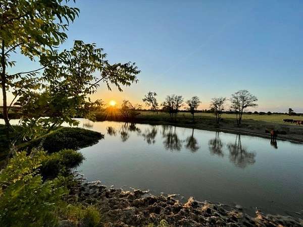 79 Acres of Agricultural Land for Sale in Gause, Texas