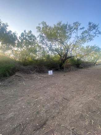 0.433 Acres of Residential Land for Sale in Eagle Pass, Texas